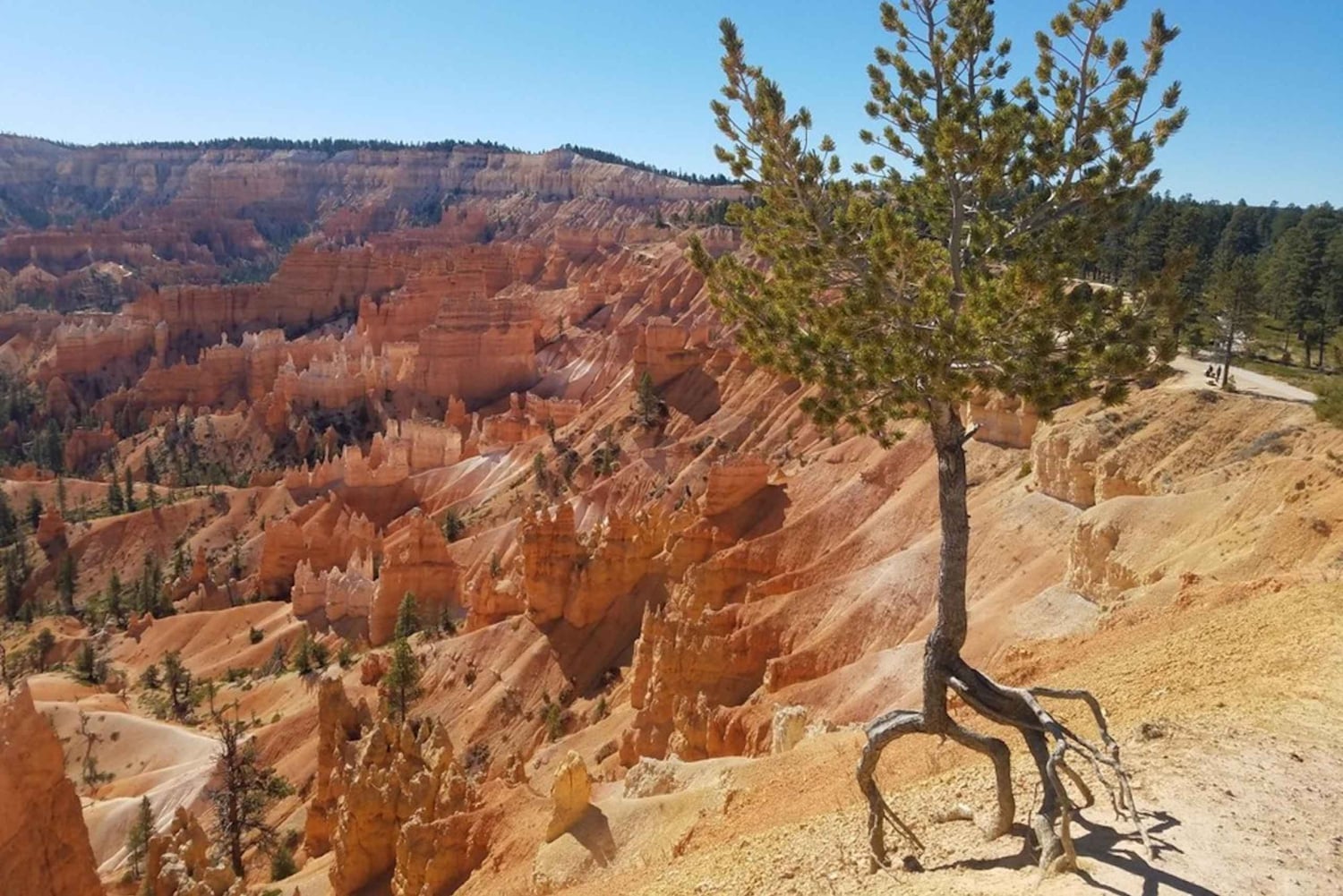 Desde Las Vegas Excursión guiada de un día a Zion y el Cañón Bryce