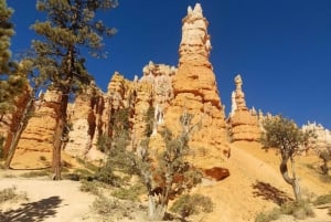 Las Vegasista: Zion ja Bryce Canyon opastettu päiväretki