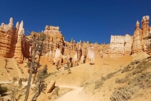 Z Las Vegas: jednodniowa wycieczka z przewodnikiem po Zion i Bryce Canyon