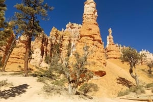 Desde Las Vegas Excursión guiada de un día a Zion y el Cañón Bryce