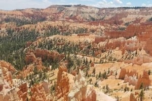 Desde Las Vegas Excursión guiada de un día a Zion y el Cañón Bryce