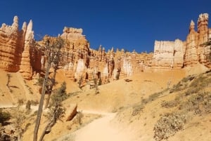 Desde Las Vegas Excursión guiada de un día a Zion y el Cañón Bryce