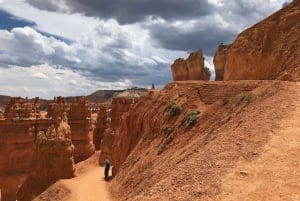 Desde Las Vegas Excursión guiada de un día a Zion y el Cañón Bryce