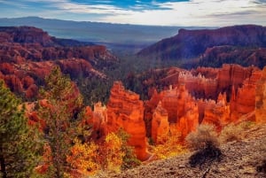 From Las Vegas: Zion and Bryce National Park Overnight Tour
