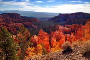 From Las Vegas: Zion and Bryce National Park Overnight Tour