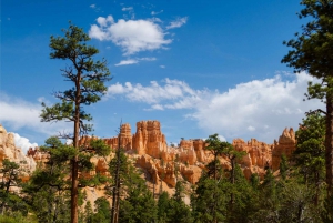 From Las Vegas: Zion and Bryce National Park Overnight Tour