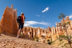 From Las Vegas: Zion and Bryce National Park Overnight Tour