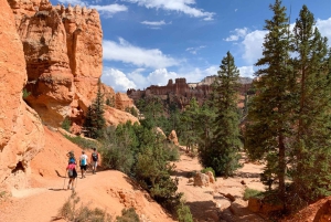 Från Las Vegas: Övernattningstur i Zion och Bryce nationalpark