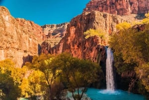 Fra Las Vegas: Dagstur til Zion National Park