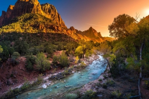 Fra Las Vegas: Dagstur til Zion National Park