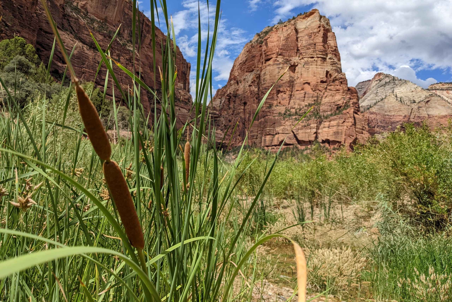 Au départ de Las Vegas : Aventure en petit groupe au parc national de Zion
