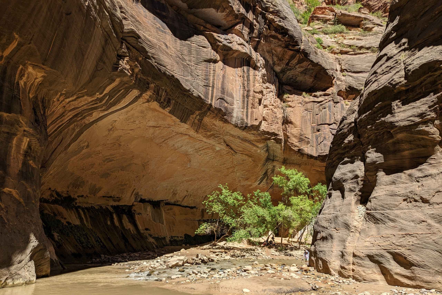 Au départ de Las Vegas : Aventure en petit groupe au parc national de Zion