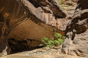 Au départ de Las Vegas : Aventure en petit groupe au parc national de Zion