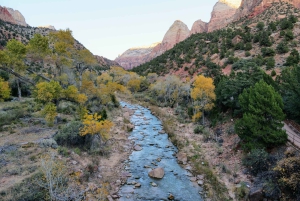 Au départ de Las Vegas : Aventure en petit groupe au parc national de Zion