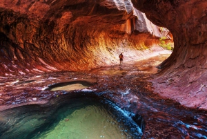 From Las Vegas: Bryce Canyon and Zion Park Tour with Lunch