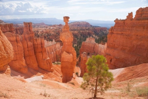 From Las Vegas: Bryce Canyon and Zion Park Tour with Lunch