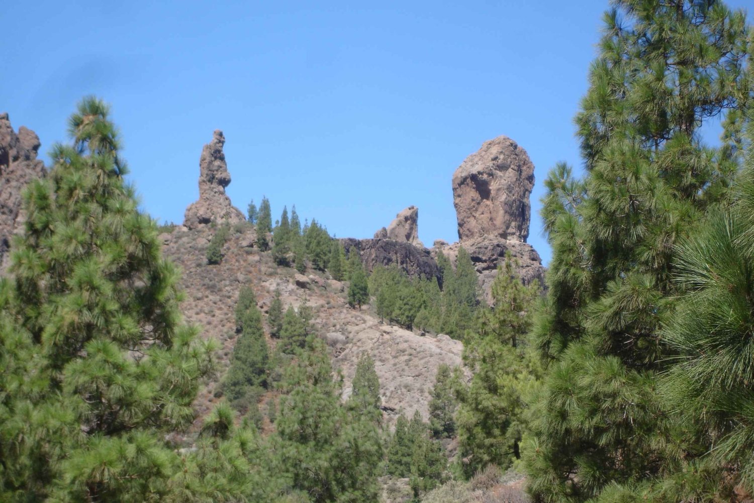 From Palmas: Pico de las Nieves & Roque Nublo Full-Day Trip