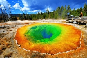 Vanuit Salt Lake City: 7-daagse tour naar Yellowstone en Las Vegas