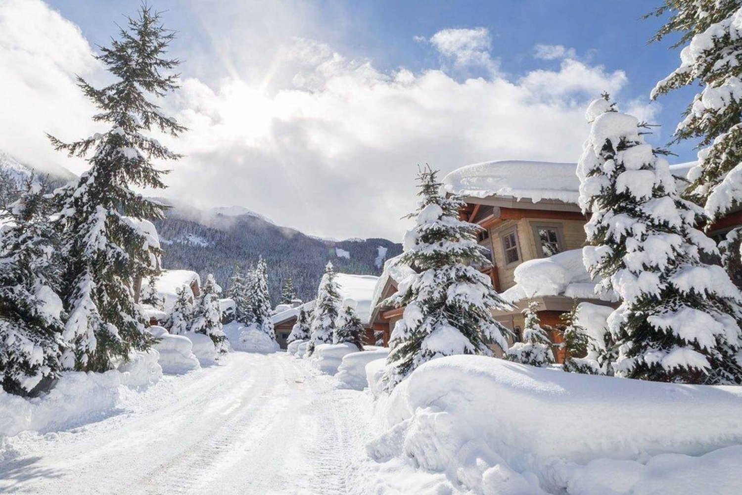 Von Vegas aus: Ultimatives Schneeabenteuer am Mount Charleston