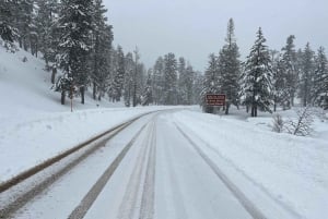 Las Vegas: Det ultimative snelegeeventyr på Mount Charleston