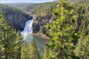 Fra Vegas: Yellowstone, Yosemite og Rocky Mountains 11-dages tur