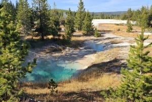 Fra Vegas: Yellowstone, Yosemite og Rocky Mountains 11-dages tur