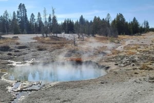 Fra Vegas: Yellowstone, Yosemite og Rocky Mountains 11-dages tur