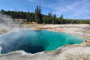 Fra Vegas: Yellowstone, Yosemite og Rocky Mountains 11-dages tur