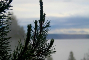 Vegasista: Yellowstone, Yosemite ja Kalliovuoret 11-päiväinen kiertomatka