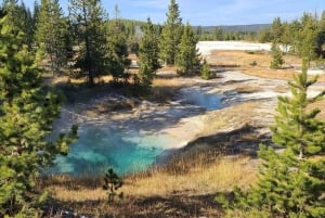 Vegasista: Yellowstone, Yosemite ja Kalliovuoret 11-päiväinen kiertomatka