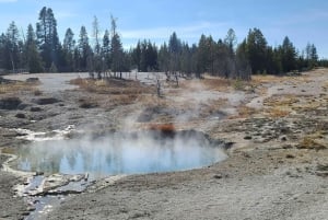 Vegasista: Yellowstone, Yosemite ja Kalliovuoret 11-päiväinen kiertomatka