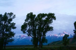 Vegasista: Yellowstone, Yosemite ja Kalliovuoret 11-päiväinen kiertomatka
