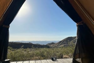 Glamping w Las Vegas Namiot Queen Suite