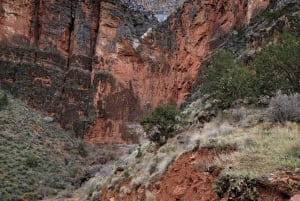 Grand Canyon Backcountry Hiking tour to Phantom Ranch