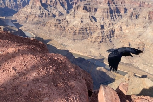 Grand Canyon en Hoover Dam: privétour vanuit Las Vegas