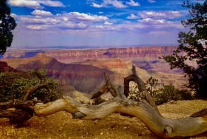 Grand Canyon: tour di gruppo privato del North Rim da Las Vegas