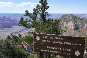 Grand Canyon: tour di gruppo privato del North Rim da Las Vegas