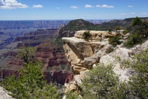 Grand Canyon: Canyon Grand Canyon: North Rim Yksityinen ryhmäkierros Las Vegasista