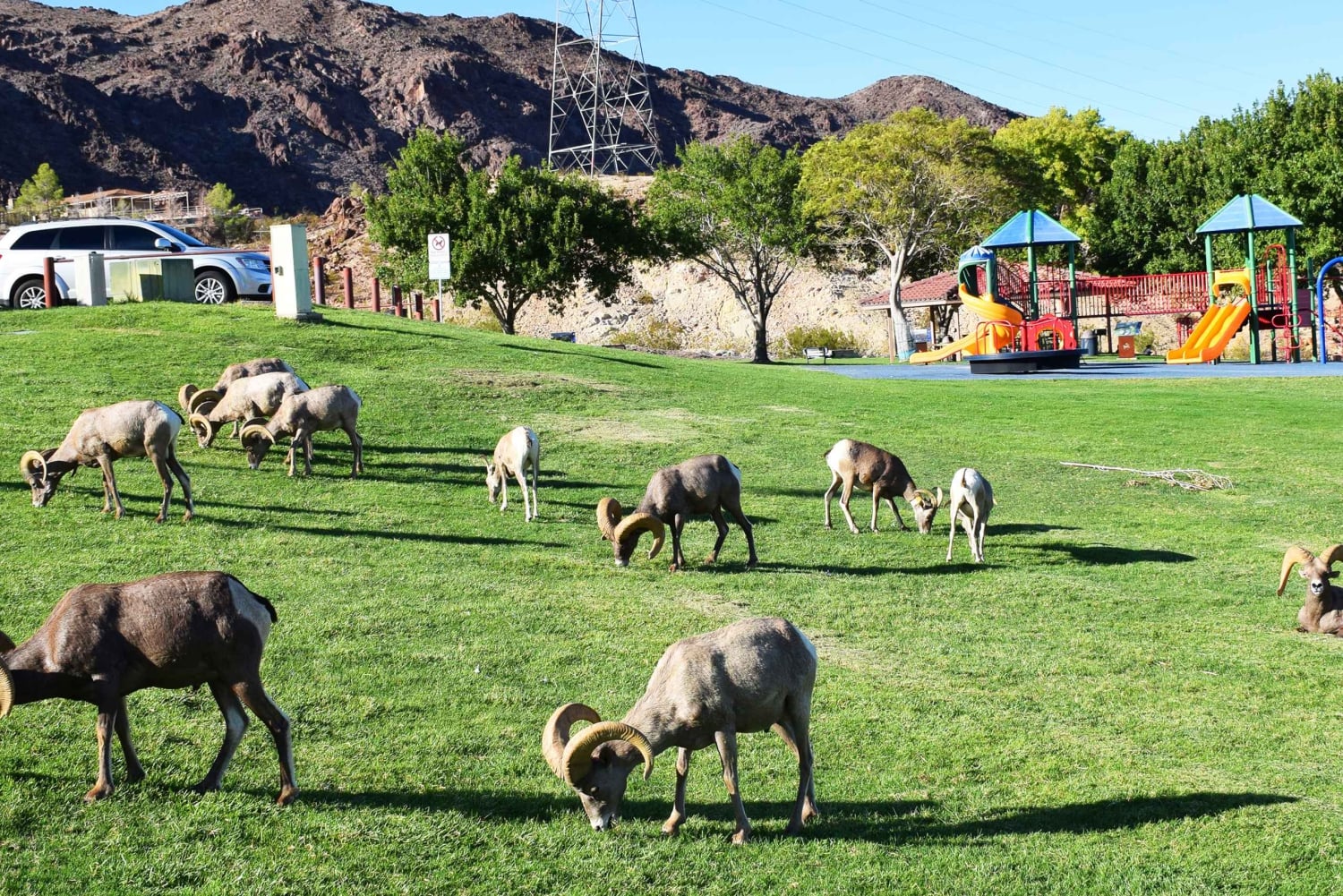 Grand Canyon West & Hoover Dam Combo Tour