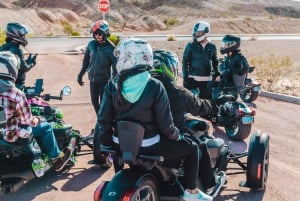 Hoover Dam: Guidet privat tur på trehjulet cykel!