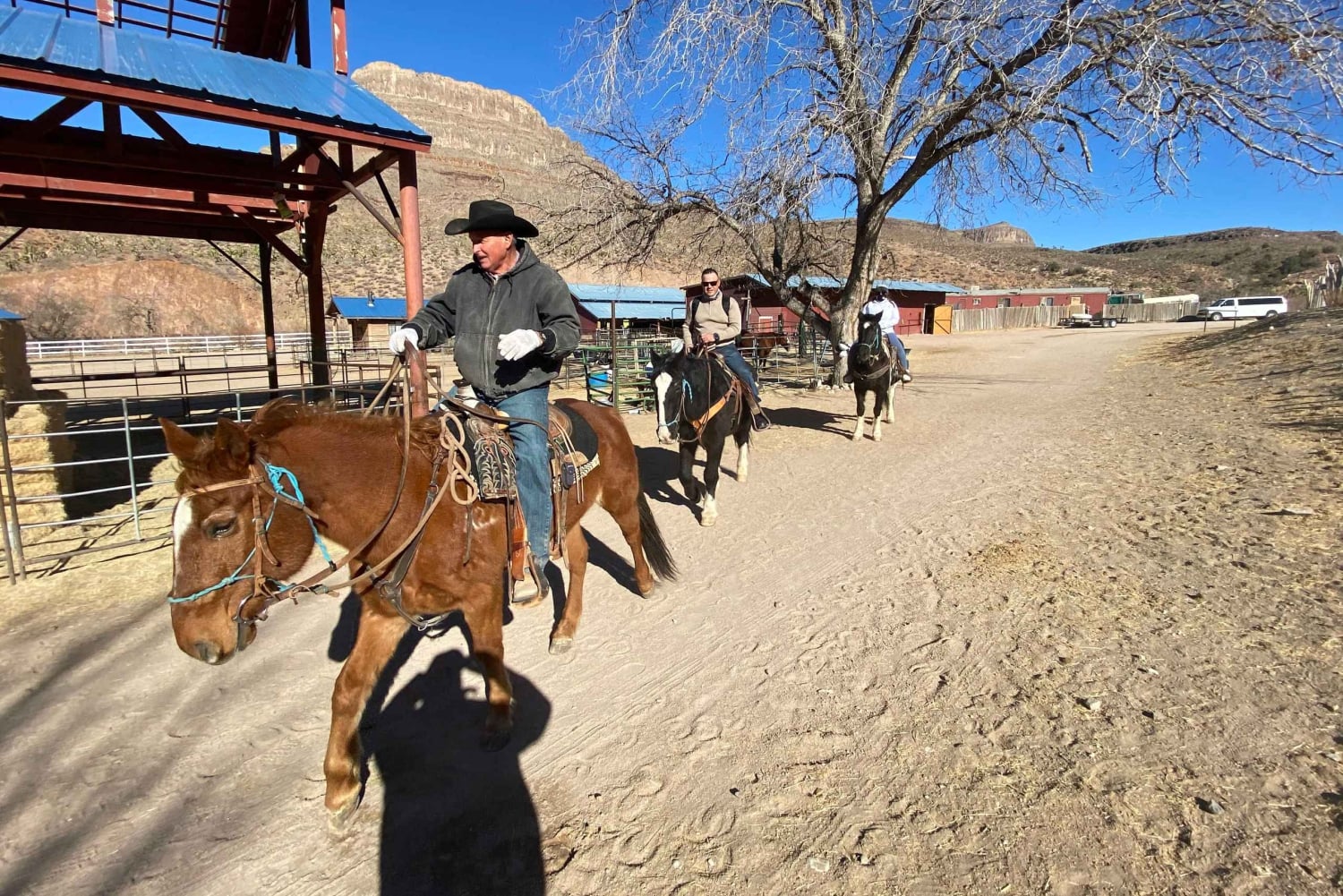 Horseback Ride thru Joshua Tree Forest with Buffalo & Lunch
