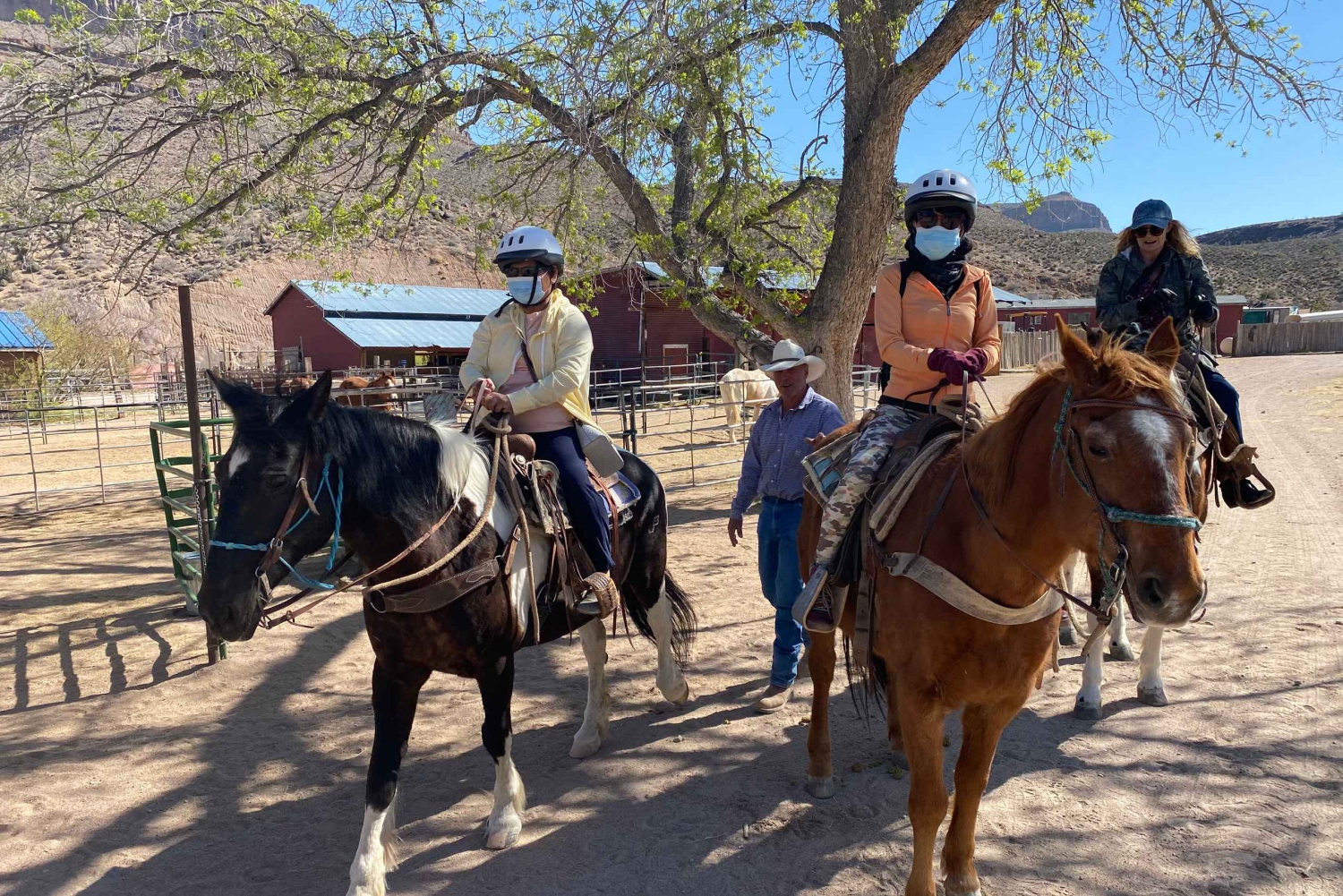 Horseback Ride thru Joshua Tree Forest with Buffalo & Lunch