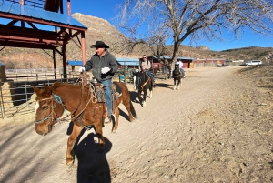 Horseback Ride thru Joshua Tree Forest with Buffalo & Lunch