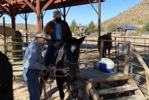 Horseback Ride thru Joshua Tree Forest with Buffalo & Lunch