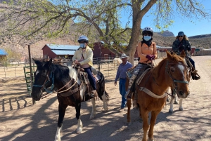 Horseback Ride thru Joshua Tree Forest with Buffalo & Lunch