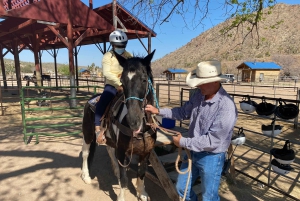 Horseback Ride thru Joshua Tree Forest with Buffalo & Lunch