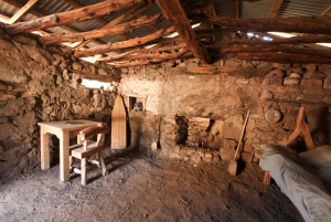 Horseback Ride thru Joshua Tree Forest with Buffalo & Lunch