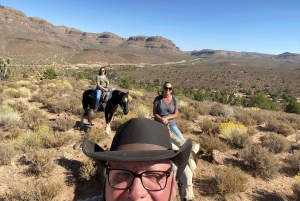 Horseback Ride thru Joshua Tree Forest with Buffalo & Lunch