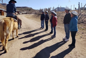 Horseback Ride thru Joshua Tree Forest with Buffalo & Lunch