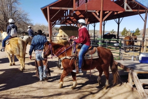 Horseback Ride thru Joshua Tree Forest with Buffalo & Lunch